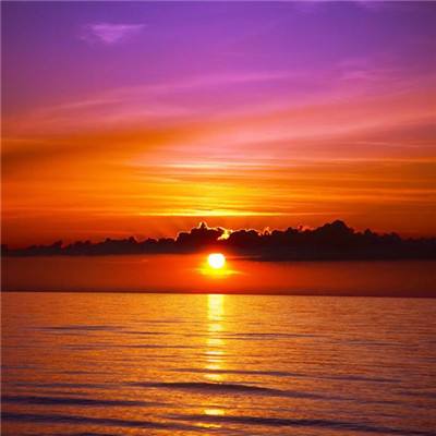 金星app安装下载官网