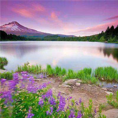 游戏官网平台入口