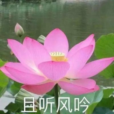 乐鱼app登录入口